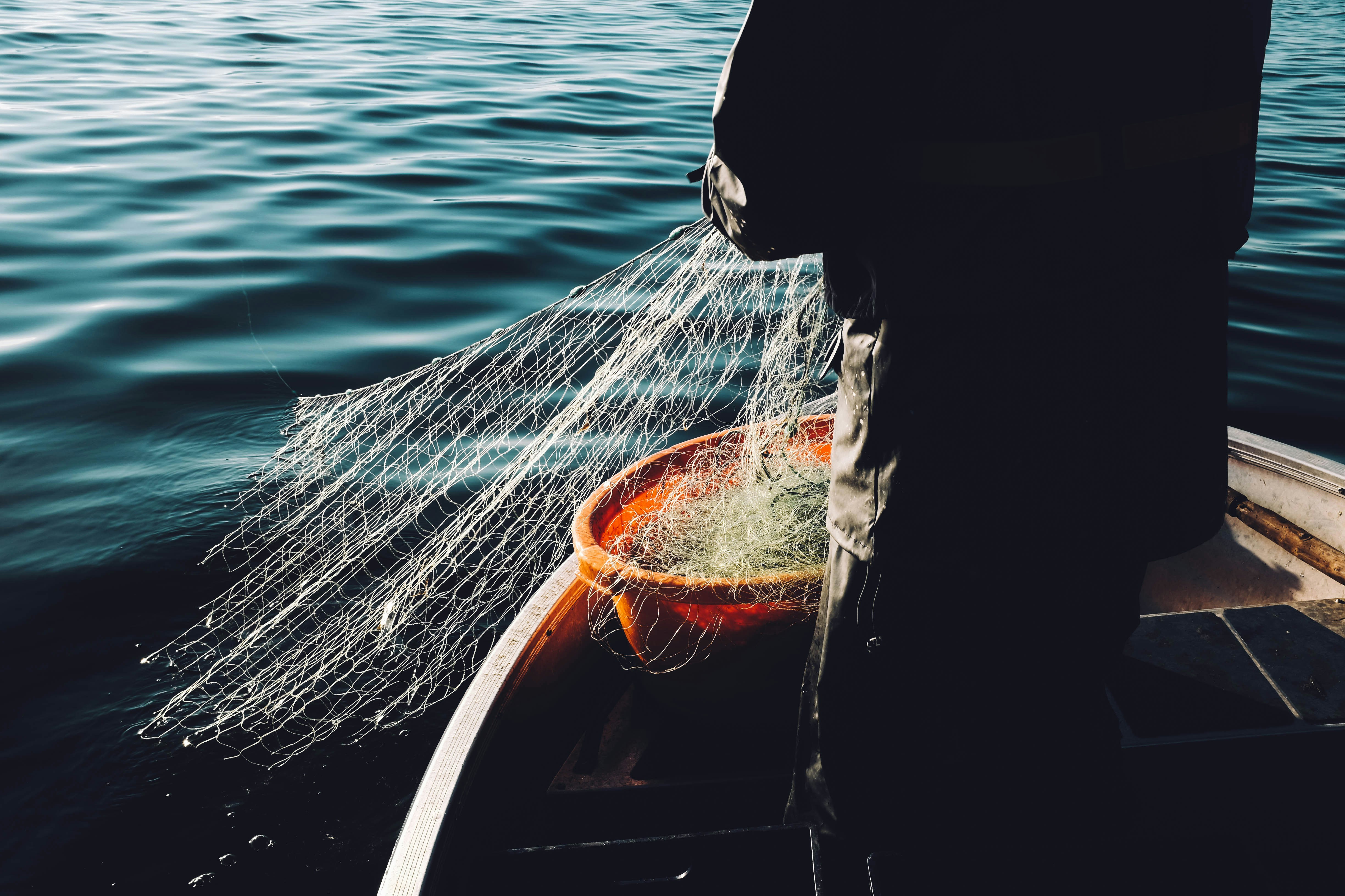 How Packaging Nets Keep Fresh Produce Moving Efficiently